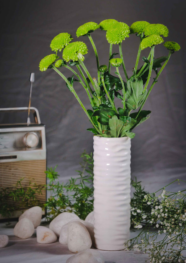 Button Chrysanthemums