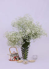 Gypsophila-Baby's breath (Fillers)