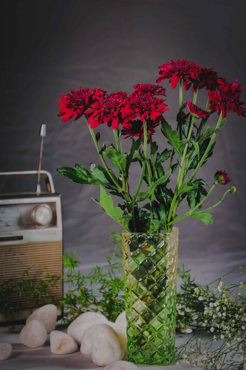 Chrysanthemums